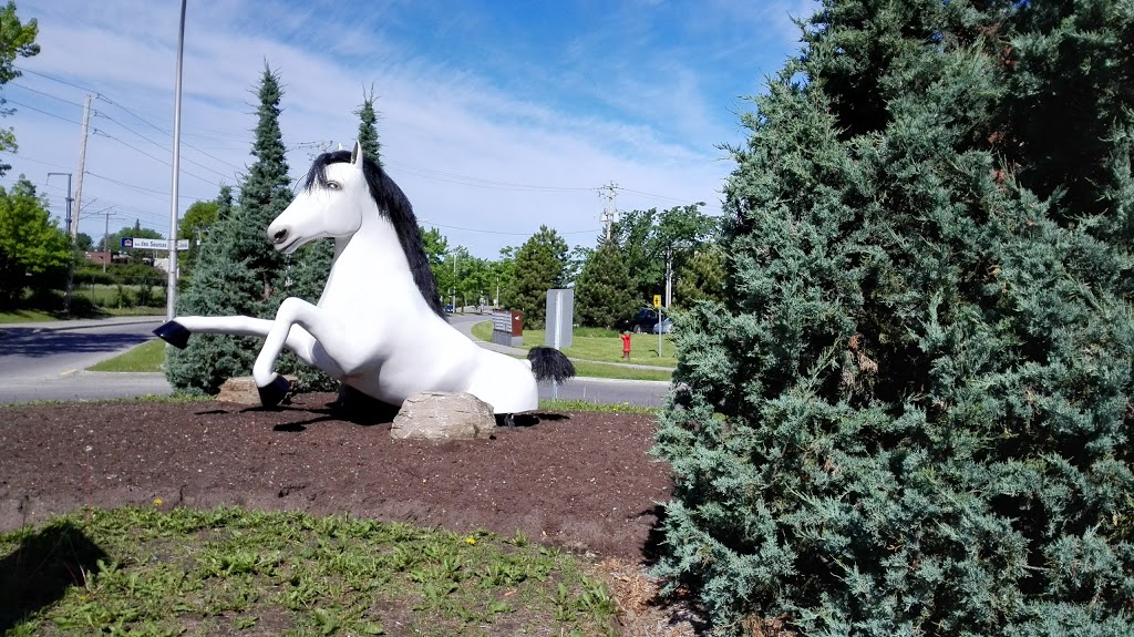 Nature Park Rapides du Cheval Blanc | 5239 Boulevard des Sources, Pierrefonds, QC H8Z 3L7, Canada | Phone: (514) 872-0311
