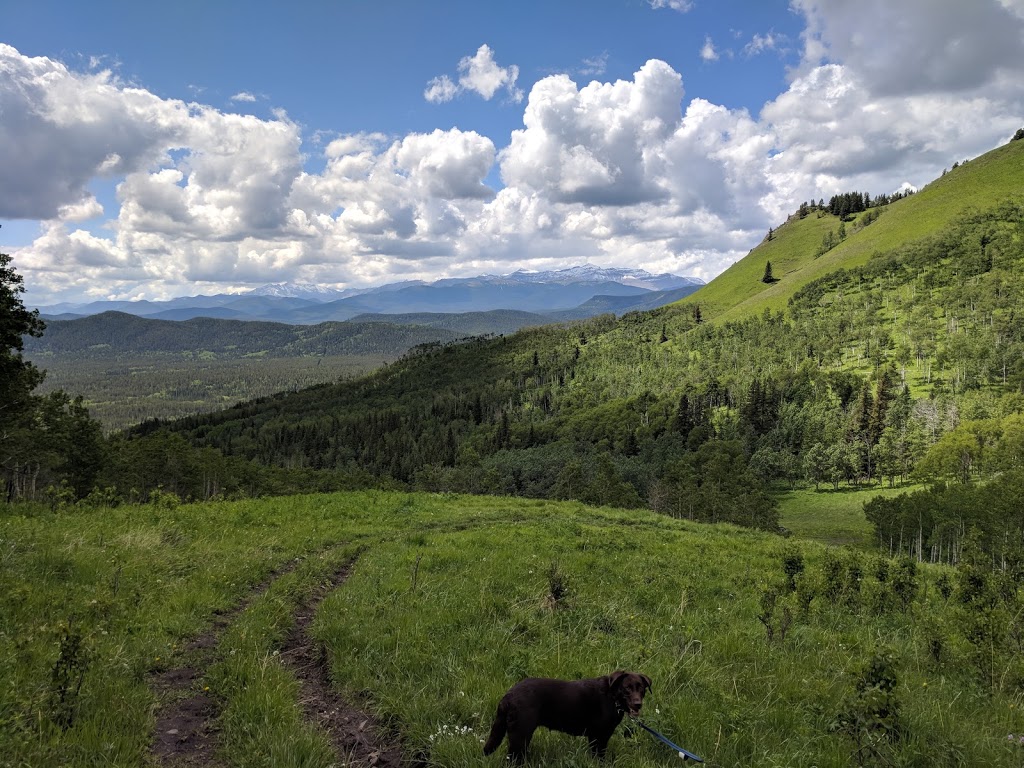 Bluerock Wildland Provincial Park | Millarville, AB T0L 1K0, Canada | Phone: (403) 949-3132
