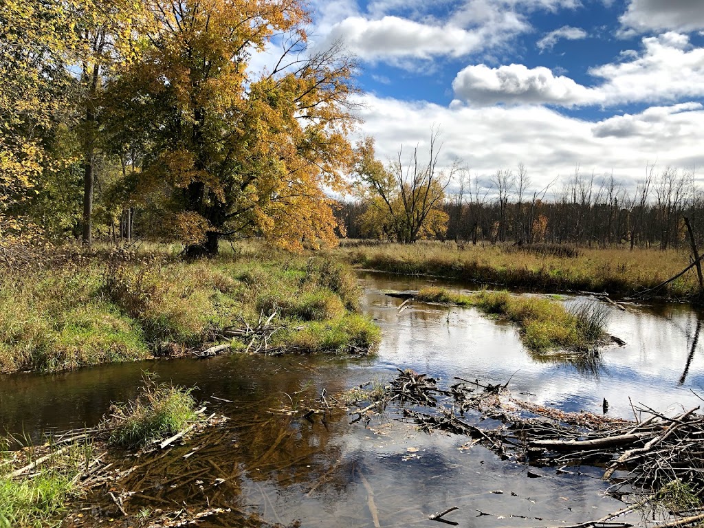 HR Frink Conservation Area and Outdoor Education Centre | 381 Thrasher Rd, Plainfield, ON K0K 2V0, Canada | Phone: (613) 968-3434