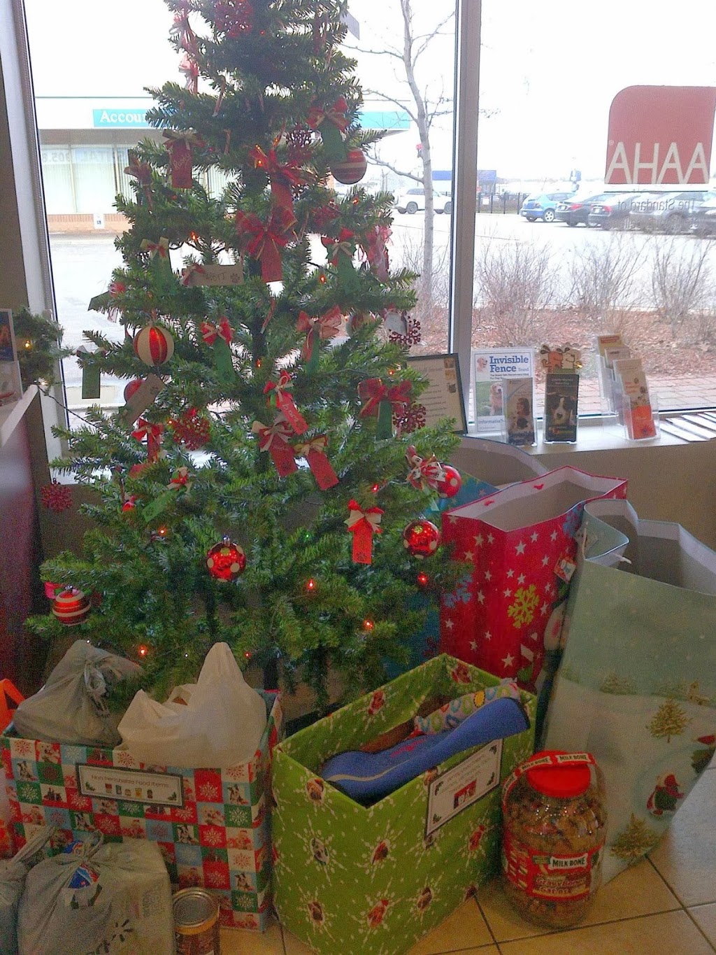 North Hill Animal Hospital | 12612 Hwy 50 #11, Bolton, ON L7E 1T6, Canada | Phone: (905) 857-5057