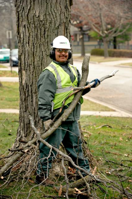 Davey Tree Expert Co. of Canada, Limited | 1354 Chippawa Creek Rd, Port Robinson, ON L0S 1K0, Canada | Phone: (905) 684-2087