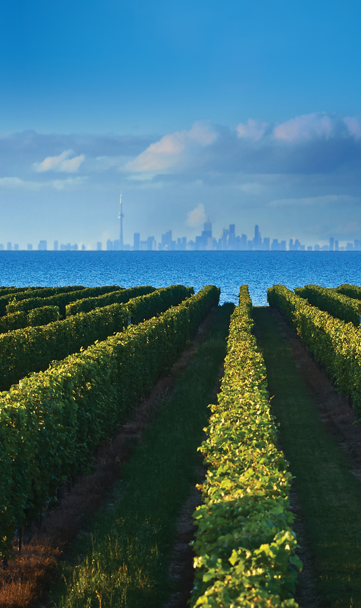 Wine Country Ontario | 4890 Victoria Ave N, Vineland Station, ON L0R 2E0, Canada | Phone: (905) 562-8070