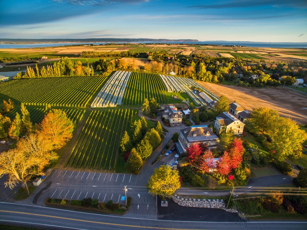 Domaine de Grand Pré | 11611 Evangeline Trail, Grand Pré, NS B0P 1M0, Canada | Phone: (902) 542-1753