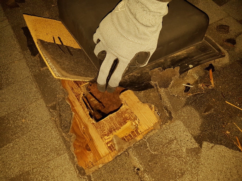 Durapest Wildlife Removal and Pest Control | 3 Swales Crescent, Brampton, ON L6R 0G4, Canada | Phone: (905) 782-6332