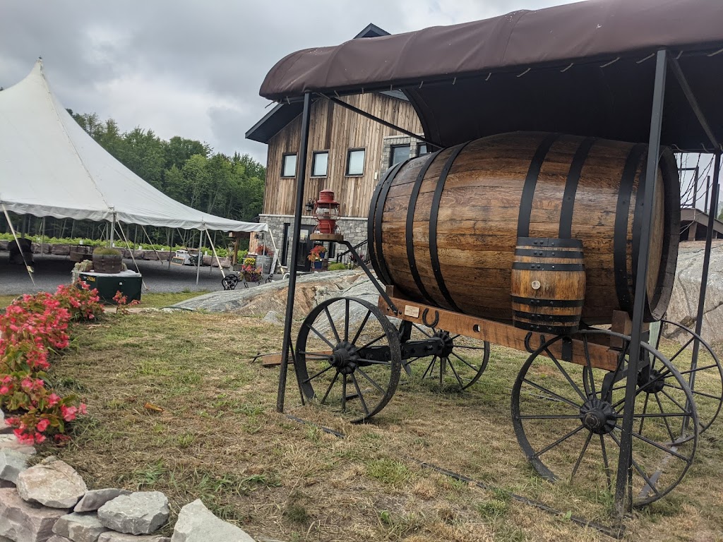 Potter Settlement Vineyards and Artisan Winery | 1445 Potter Settlement Rd, Tweed, ON K0K 3J0, Canada | Phone: (613) 478-1478