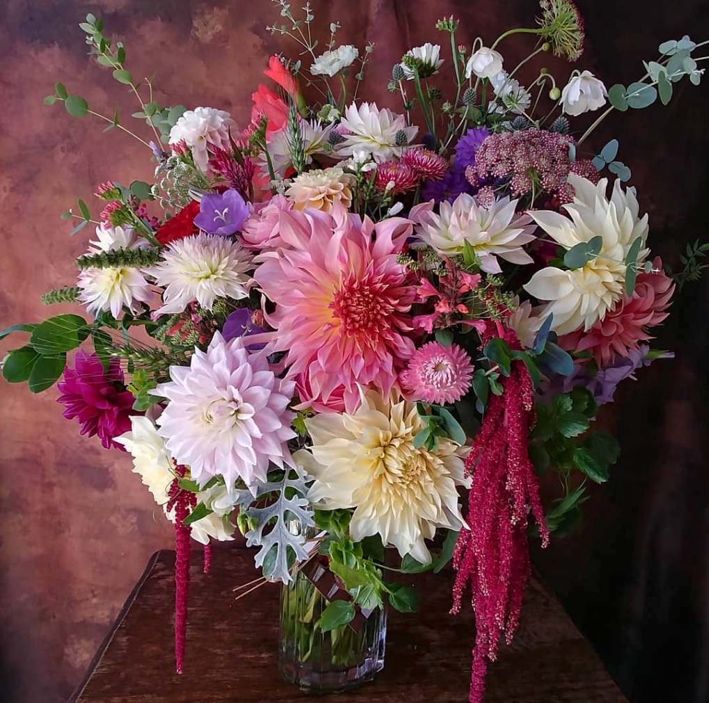 Alchemy Farm Flowers | 181 Furness Rd, Salt Spring Island, BC V8K 1Z7, Canada | Phone: (250) 930-3276
