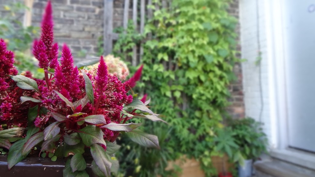 Intense Productions | 567 Dufferin St, Toronto, ON M6K 2A9, Canada | Phone: (416) 565-4183