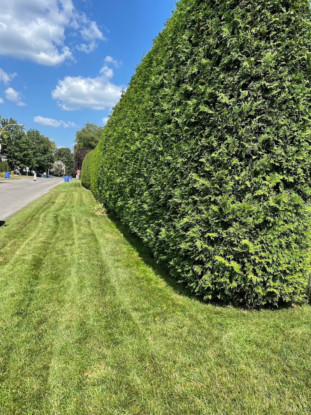 GBpaysagement | 10 Rue dÉvreux, Blainville, QC J7C 5L2, Canada | Phone: (514) 605-9224