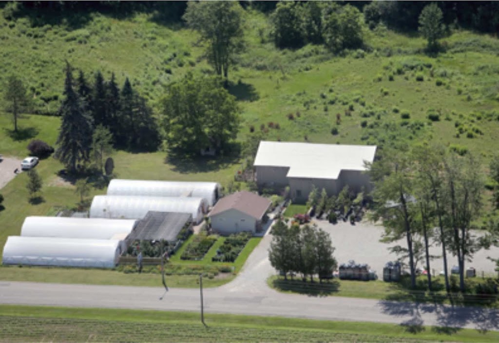 Backyard By Design Garden Centre | 399 North Town Line W, Ingersoll, ON N5C 3J6, Canada | Phone: (519) 485-2815