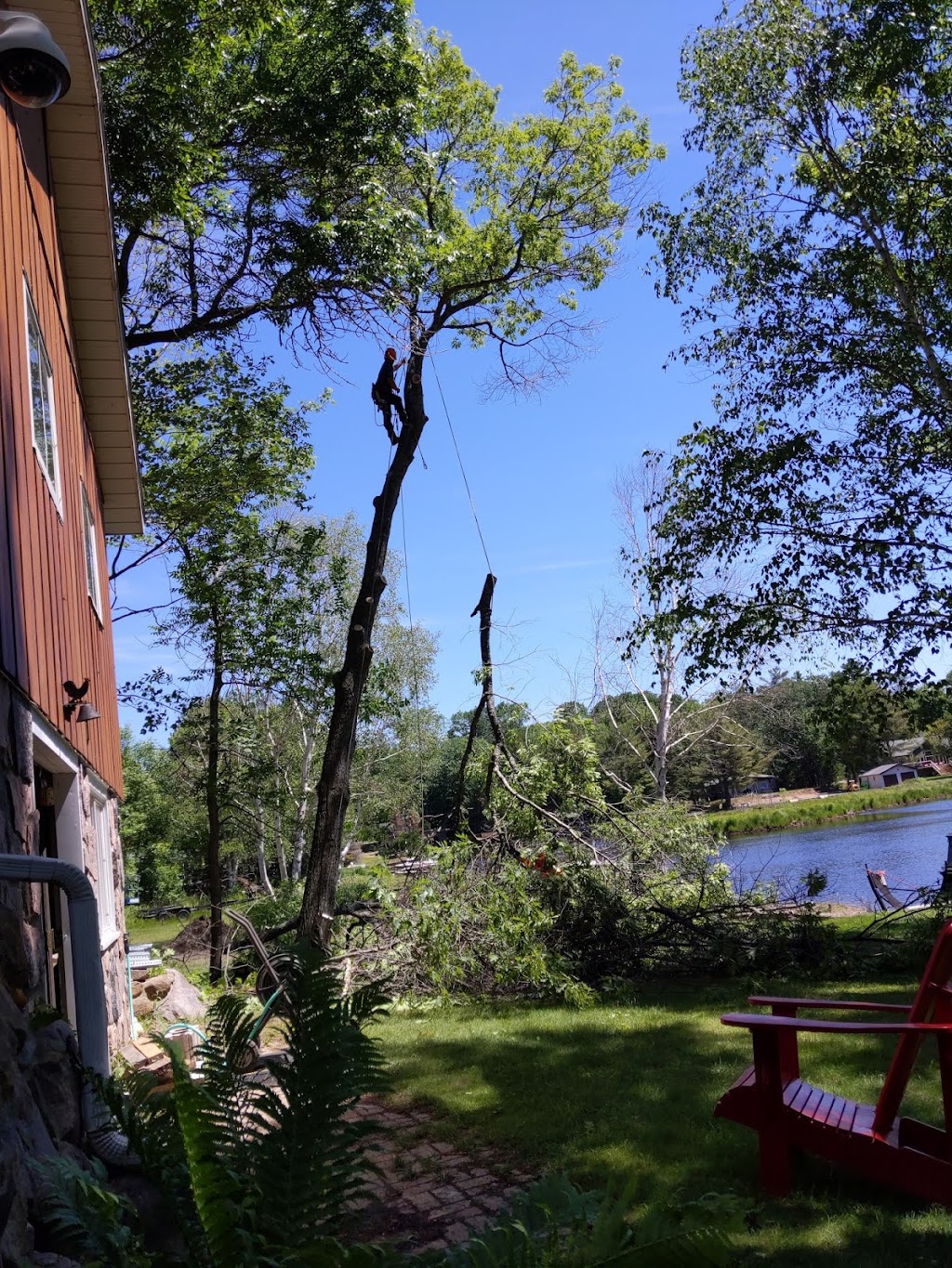 Terrific Tree Solutions | 255 High St, MacTier, ON P0C 1H0, Canada | Phone: (705) 346-4898