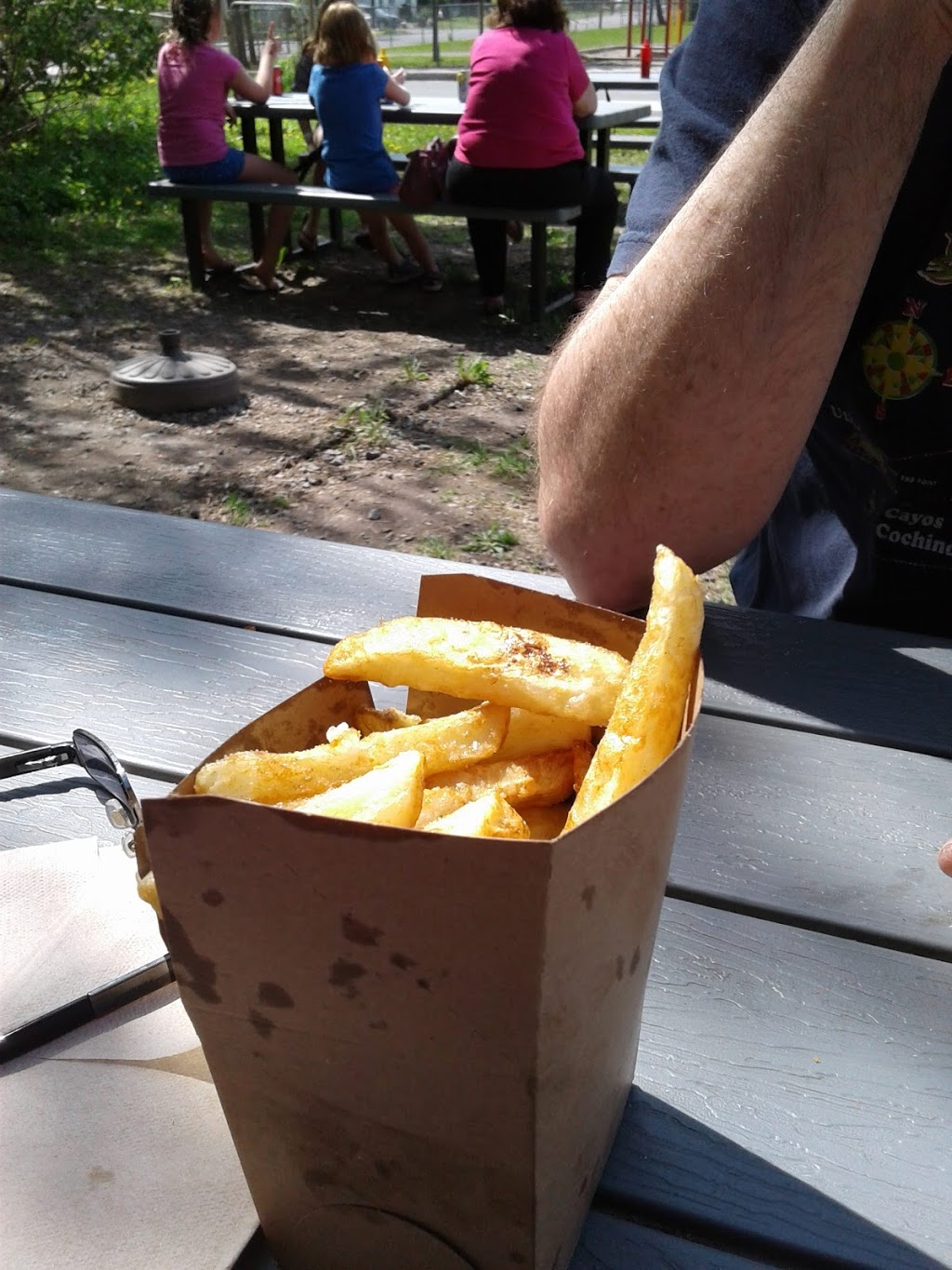 Fitzs Fries | 1088 Bridge St, Manotick, ON K4M 1J2, Canada | Phone: (613) 883-3743