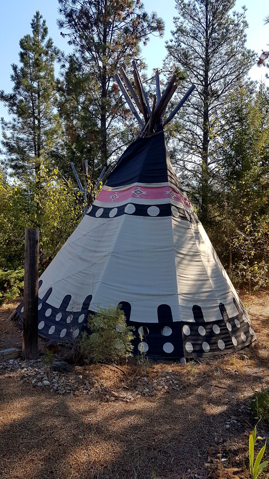 Awards and Trophies HQ | 6061 Star Rd, Vernon, BC V1B 3P4, Canada | Phone: (250) 938-0803