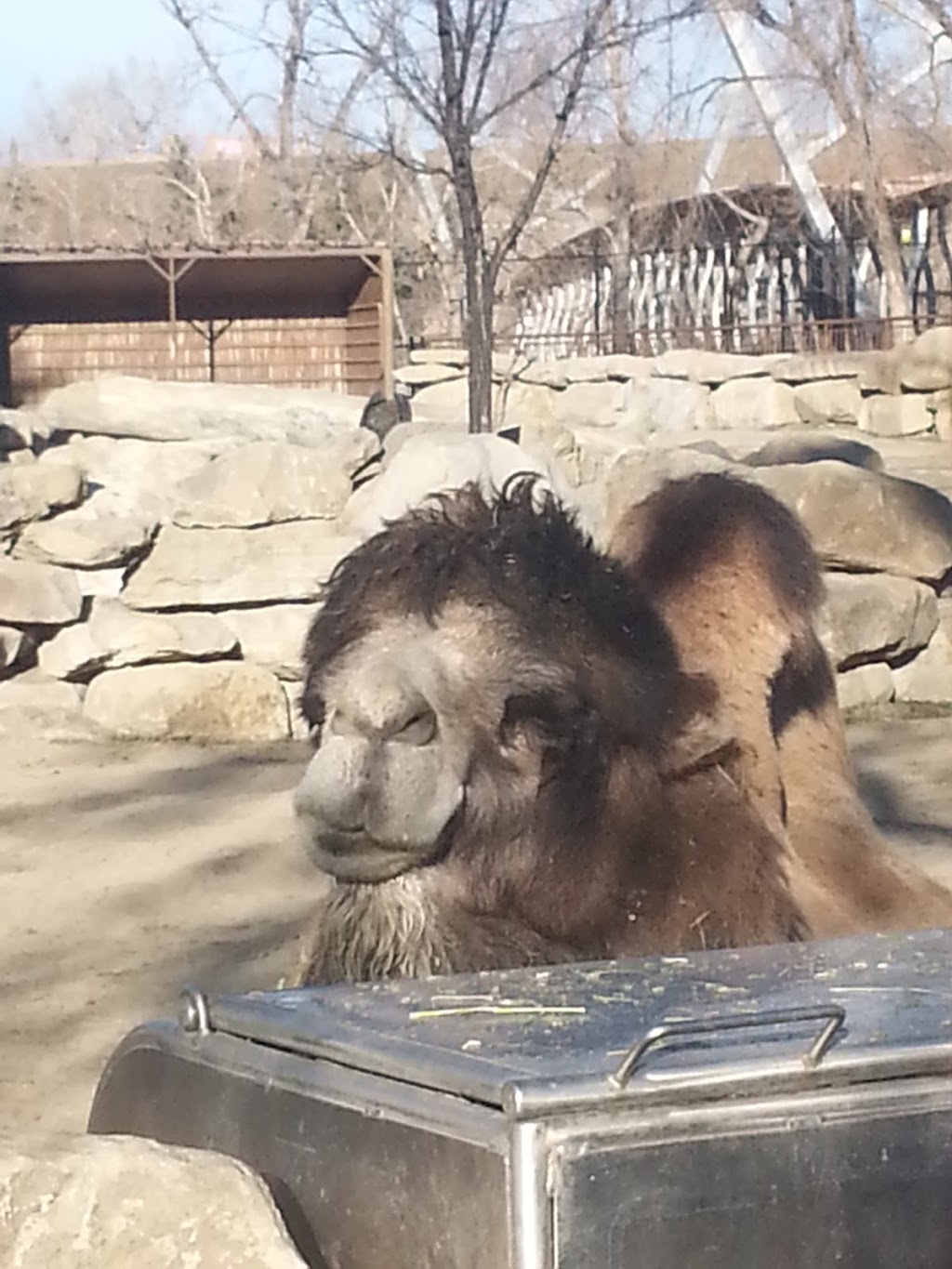 CPA Calgary Zoo - West Lot | 1300 Zoo Rd NE, Calgary, AB T2E 7V6, Canada | Phone: (403) 537-7000