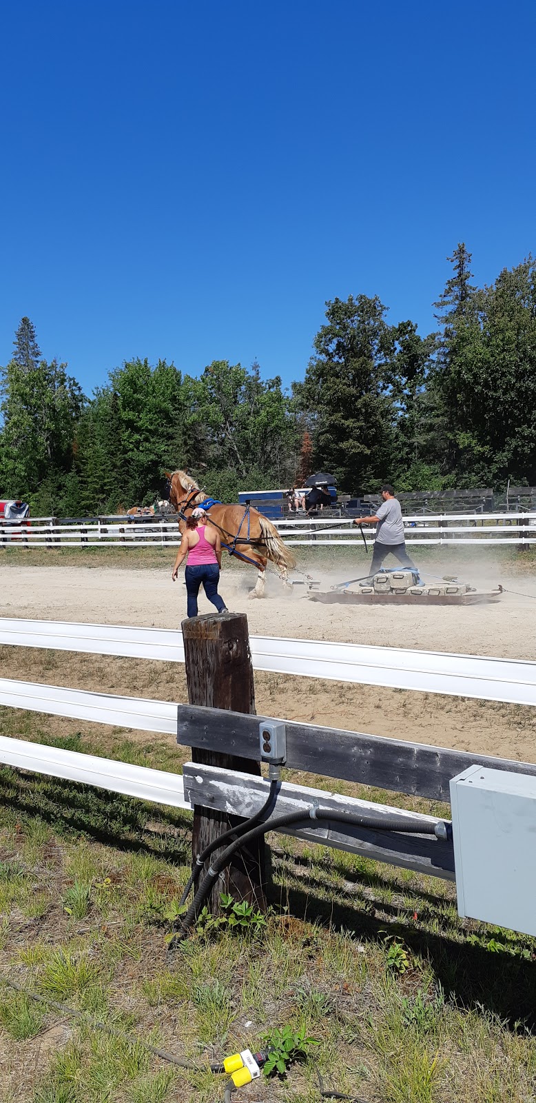 Massey Fair | 599 Imperial St N, Massey, ON P0P 1P0, Canada | Phone: (705) 865-2070