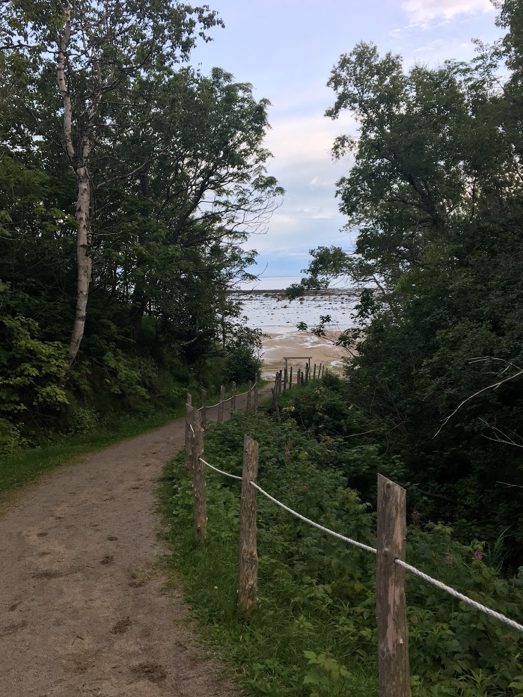 Studio Motel The Cruise | 1087 QC-138, Grandes-Bergeronnes, QC G0T 1G0, Canada | Phone: (418) 232-6247