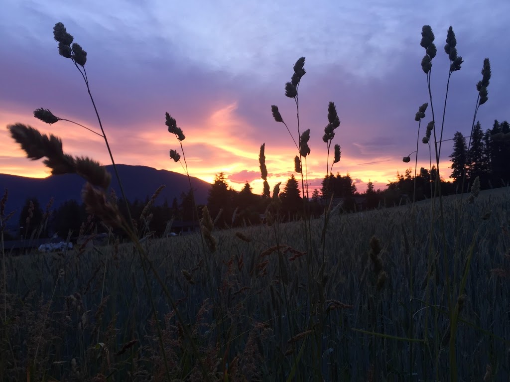 Swiss Lodge B&B | 2190 30 St NE, Salmon Arm, BC V1E 3G9, Canada | Phone: (250) 833-6191