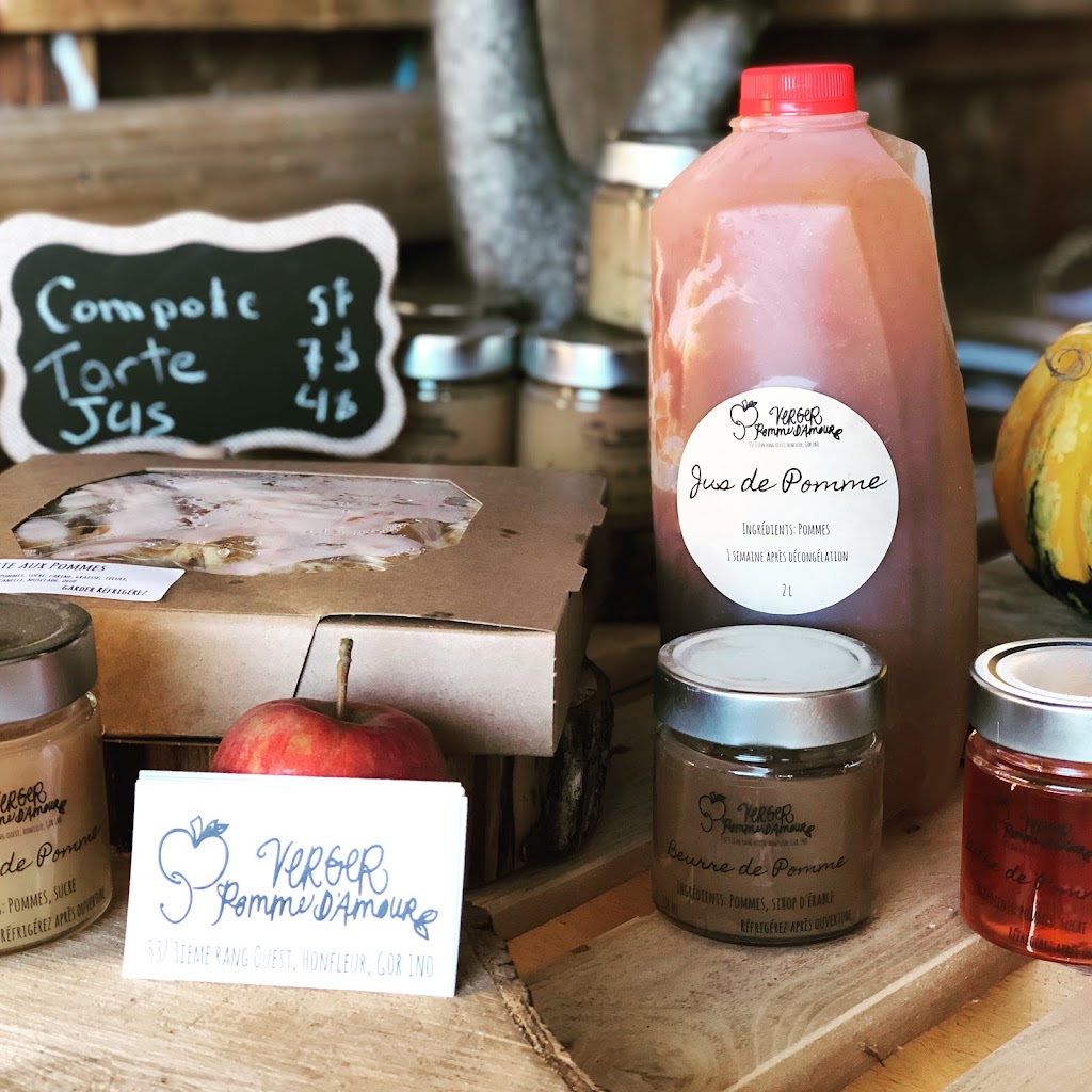 Verger Pomme d’Amour | 537 3e Rang O, Honfleur, QC G0R 1N0, Canada | Phone: (418) 956-3080