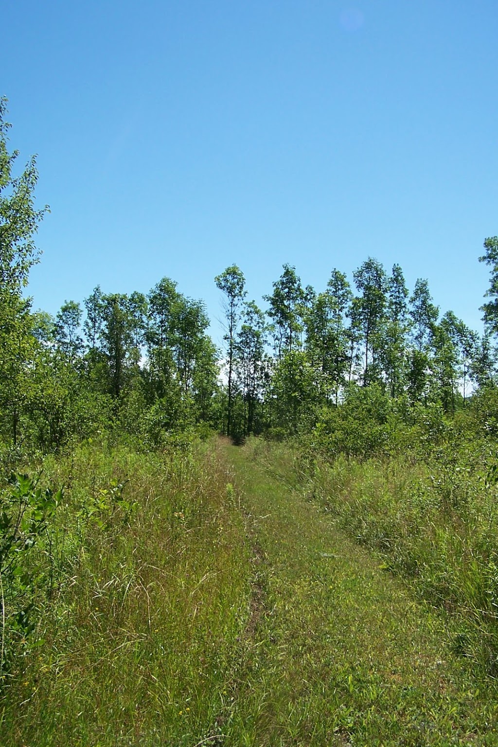 Wildturkey Guest House | 1075 Concession Rd 2, Port Elgin, ON N0H 2C0, Canada | Phone: (519) 386-8349