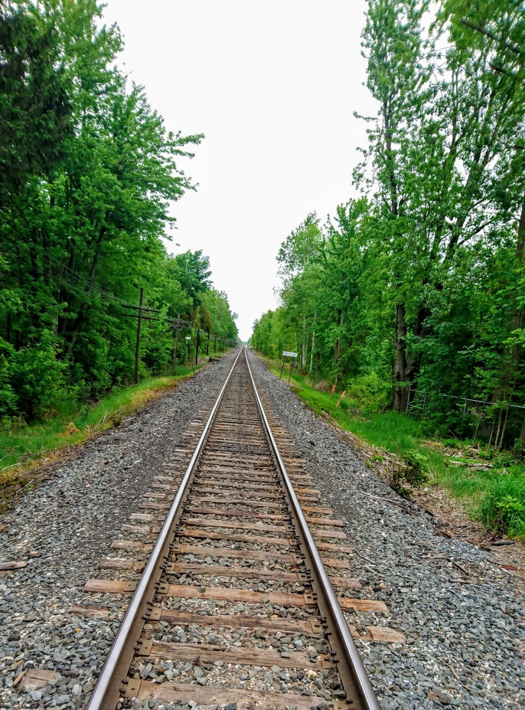 Mountsberg Conservation Area | 2259 Milburough Line, Campbellville, ON L0P 1B0, Canada | Phone: (905) 854-2276