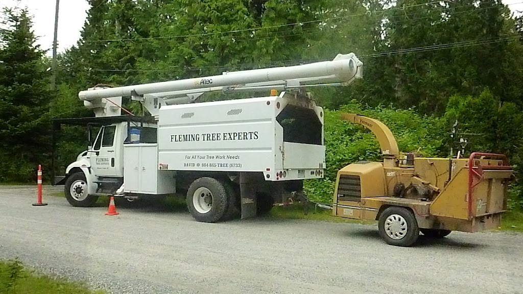 Fleming Tree Experts | 1228 Lysander Rd, Roberts Creek, BC V0N 2W2, Canada | Phone: (604) 885-8733