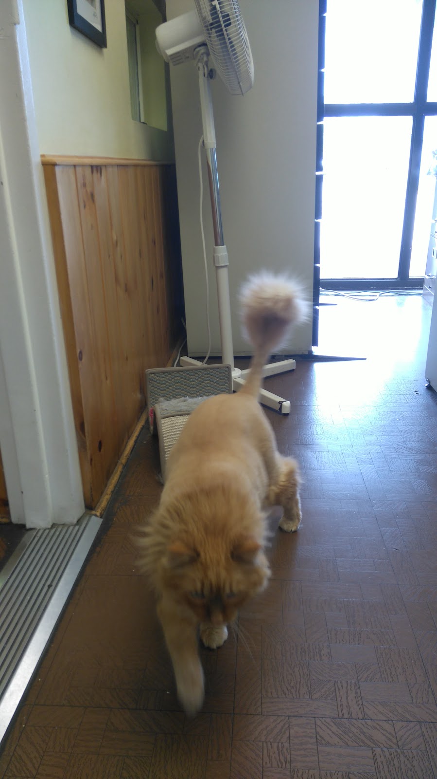 Bridletowne Warden Animal Hospital - 2261 Warden Ave, Scarborough, ON M1T 1V5, Canada Bridletowne Warden Animal Hospital - 2261 Warden Ave, Scarborough, ON M1T 1V5, Canada