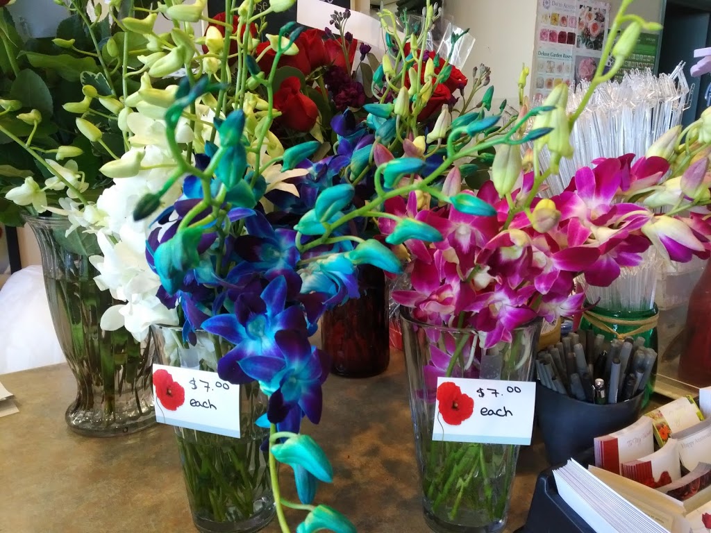 Quinn and Kims Grower Direct and Saskatoon Flowers | clothing store | 294 Venture Crescent, Saskatoon, SK S7K 6M1, Canada | 3069560600 OR +1 306-956-0600