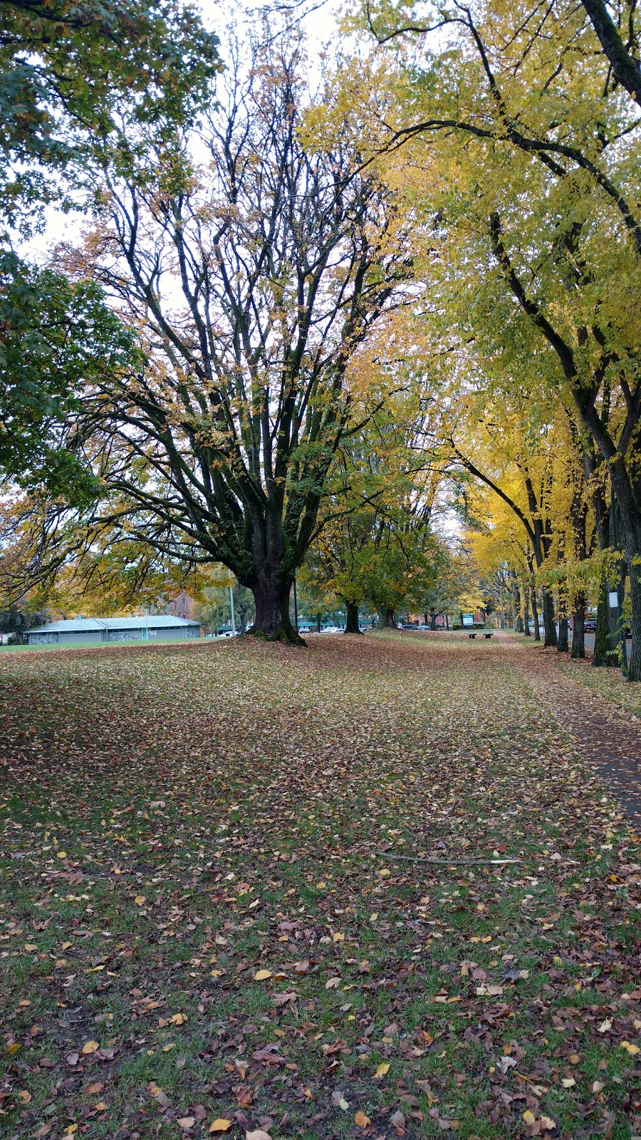 Braemer Park | 895 W 27th Ave, Vancouver, BC V5Z 2G8, Canada | Phone: (604) 873-7000