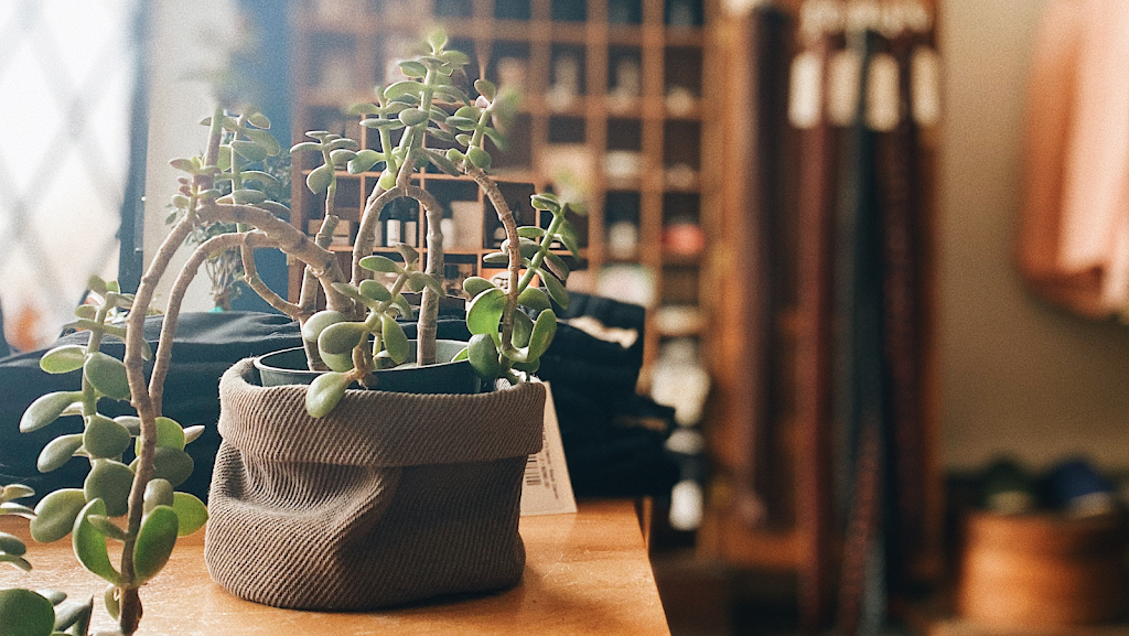 Clark Street Mercantile | 5200 Rue Clark, Montréal, QC H2T 2V2, Canada | Phone: (514) 508-6090