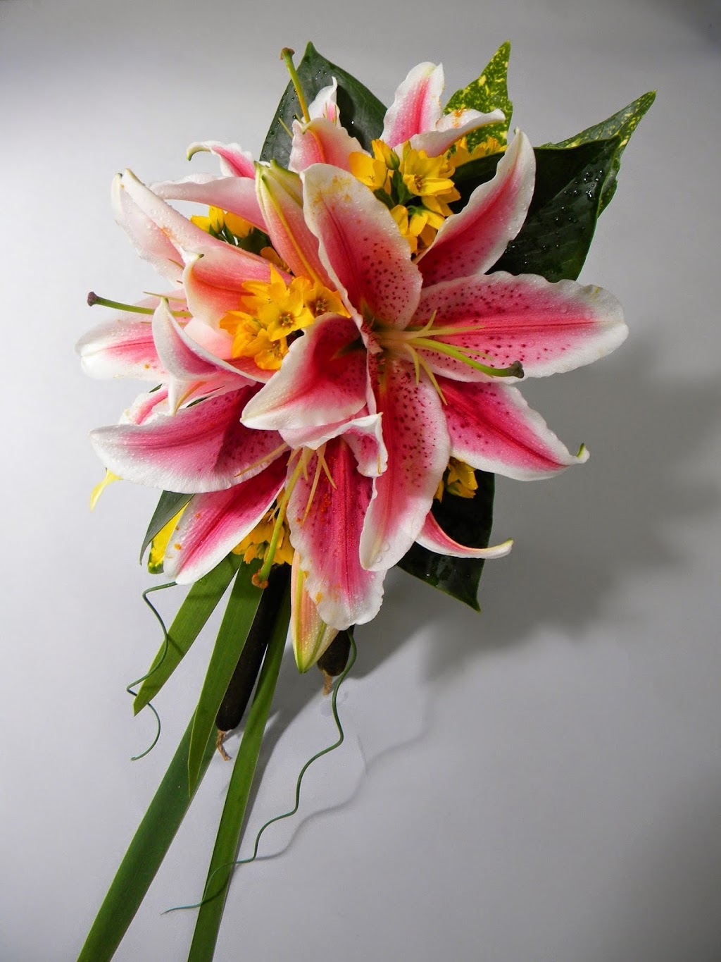 Sunshine Coast Flowers | 1334 Chaster Rd, Gibsons, BC V0N 1V5, Canada | Phone: (604) 740-6189
