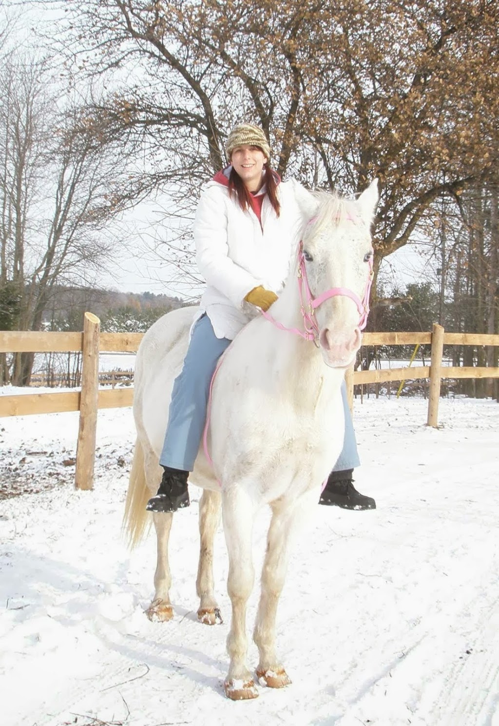 On the Forest Boarding | 17299 Kennedy Rd, Cedar Valley, ON L0G 1E0, Canada | Phone: (647) 836-0459