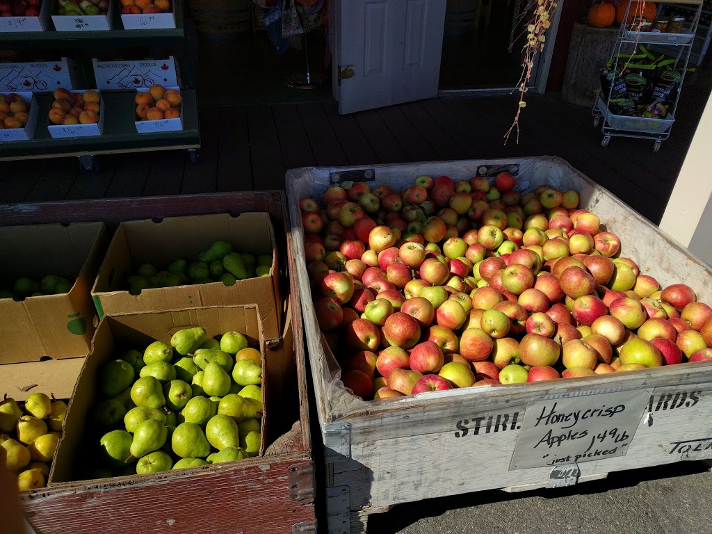 The Peach Pitt | 9701 Jones Flat Rd, Summerland, BC V0H 1Z3, Canada | Phone: (778) 516-7003