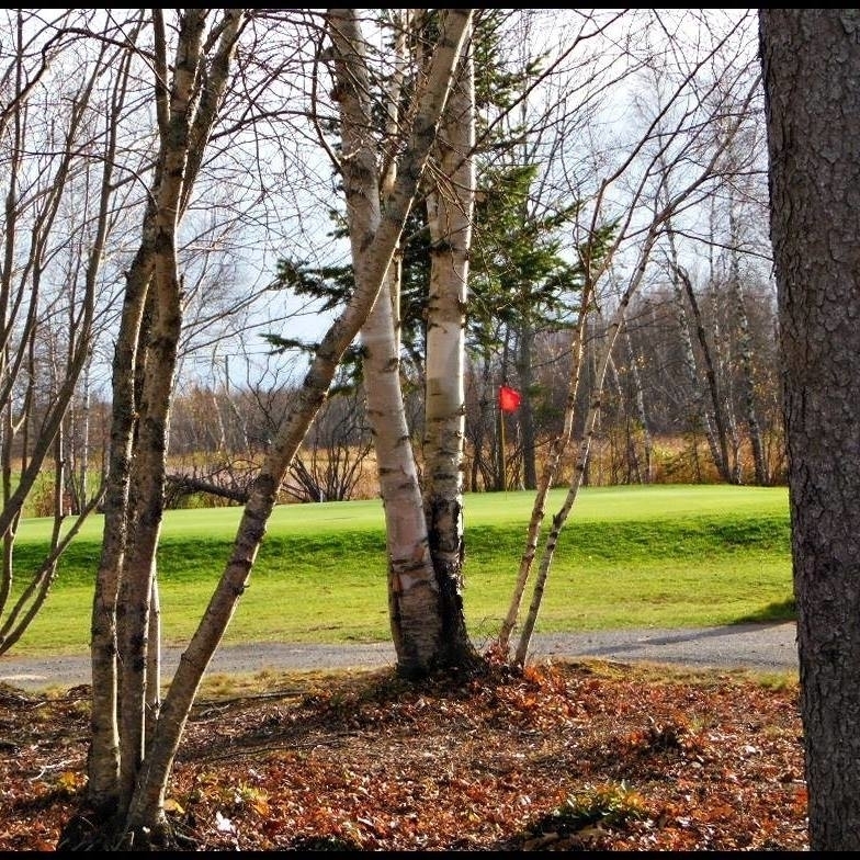 Lakeside Golf & Country Club | 1896 NB-134, Lakeville, NB E1H 1A7, Canada | Phone: (506) 861-9441