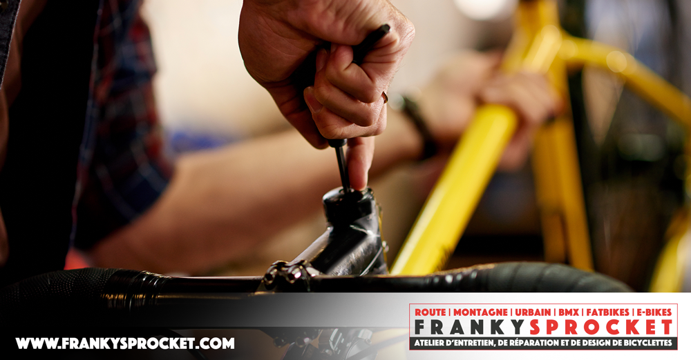 Franky Sprocket | 131 Croissant du Belvédère, Saint-Alphonse-Rodriguez, QC J0K 1W0, Canada | Phone: (514) 609-5570