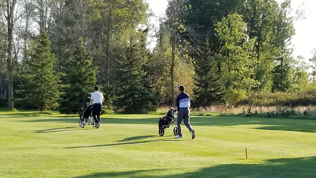 Stratford Municipal Golf Course | 251 Norfolk St, Stratford, ON N5A 3Z1, Canada | Phone: (519) 271-0214