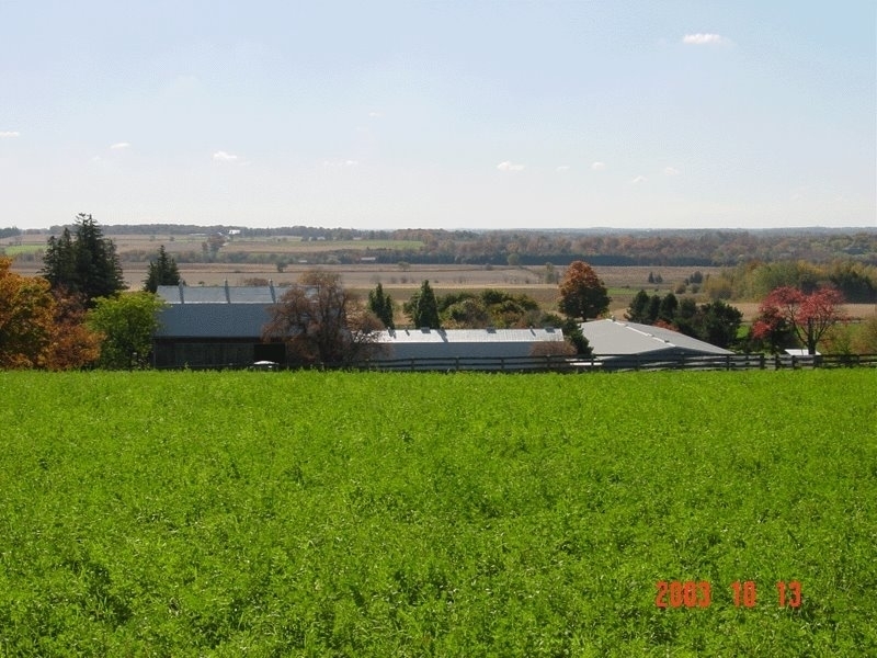 Waymark Farms Ltd | 867733 Township Rd 10, Bright, ON N0J 1B0, Canada | Phone: (519) 632-7355