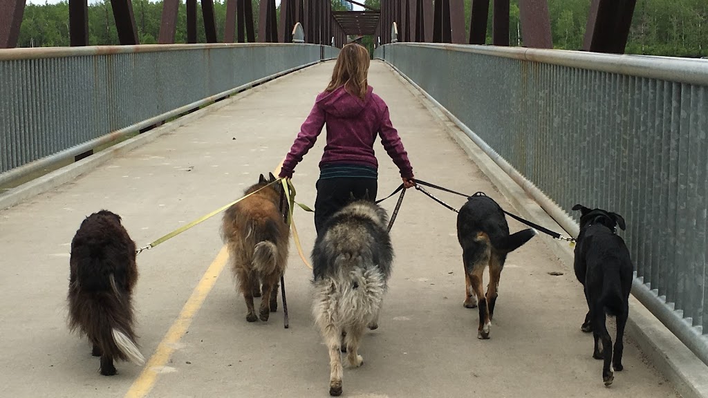 For The Love of Paws Pet Service | 9130 23 Ave NW, Edmonton, AB T6N 1H9, Canada | Phone: (587) 991-3647