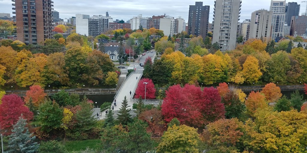 Faculty of Social Sciences Library | 120 University Private, Ottawa, ON K1N 6N5, Canada | Phone: (613) 562-5213