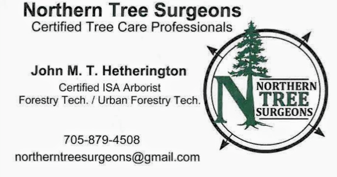 Northern Tree Surgeons | Botham Rd, Magnetawan, ON P0A 1P0, Canada | Phone: (705) 879-4508