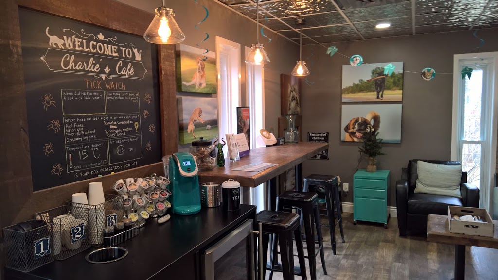 Oakridge Animal Clinic | 1109 Sarnia Rd, London, ON N6H 5J9, Canada | Phone: (519) 471-1560
