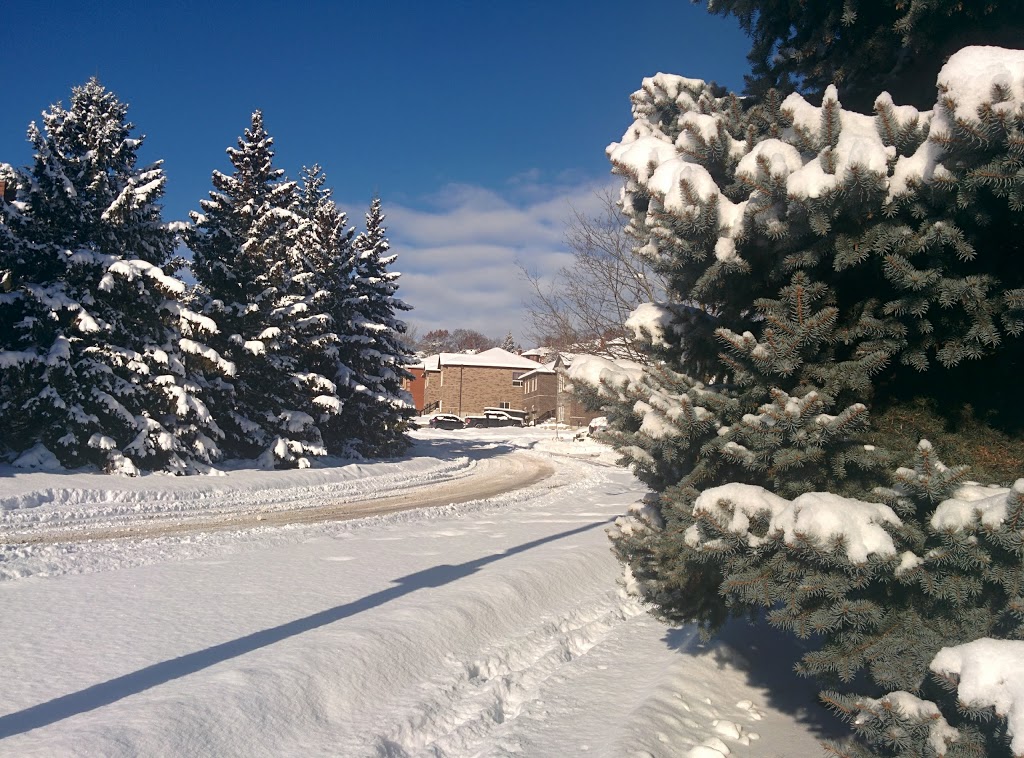 Leacock Park | 6K2, 280 Leacock Dr, Barrie, ON L4N 7V9, Canada