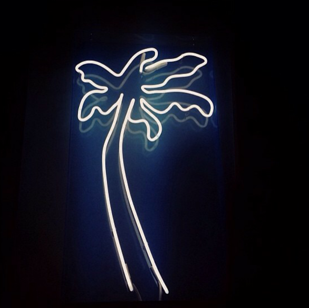 Palm Sunday | 384 Harbord St, Toronto, ON M6G 1H9, Canada | Phone: (416) 588-4526