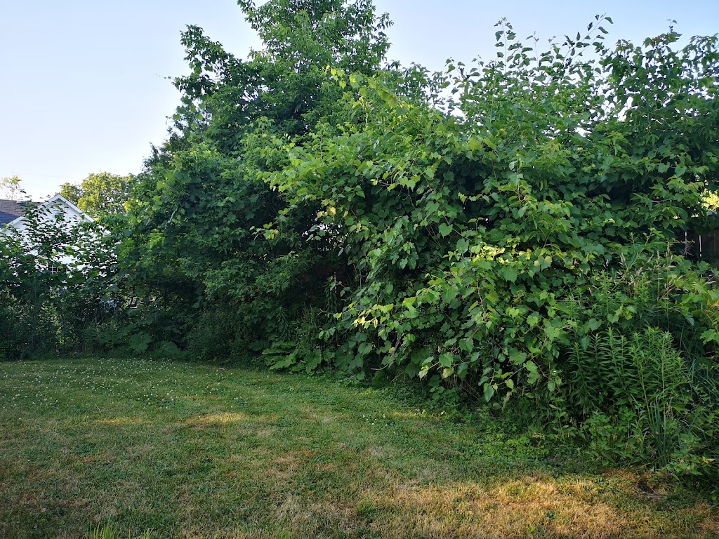 Miller Family Park | 229 John St S, Aylmer, ON N5H 2C9, Canada | Phone: (226) 973-8333