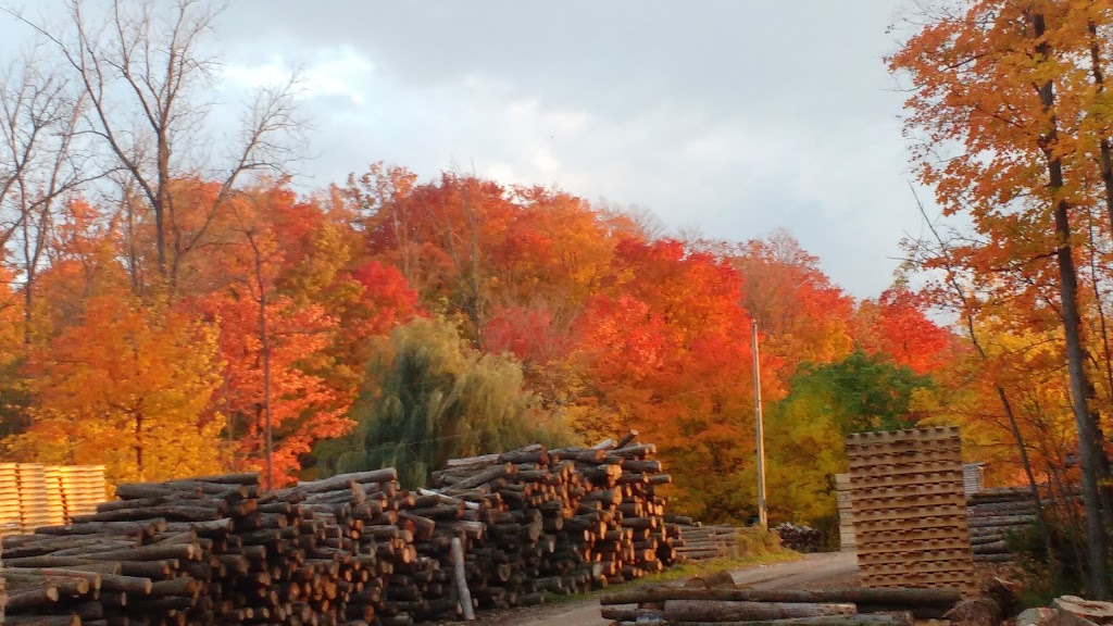 Moses Burkhart Sawmill | 2896 Hackbart Rd, St. Clements, ON N0B 2M0, Canada | Phone: (519) 699-5751
