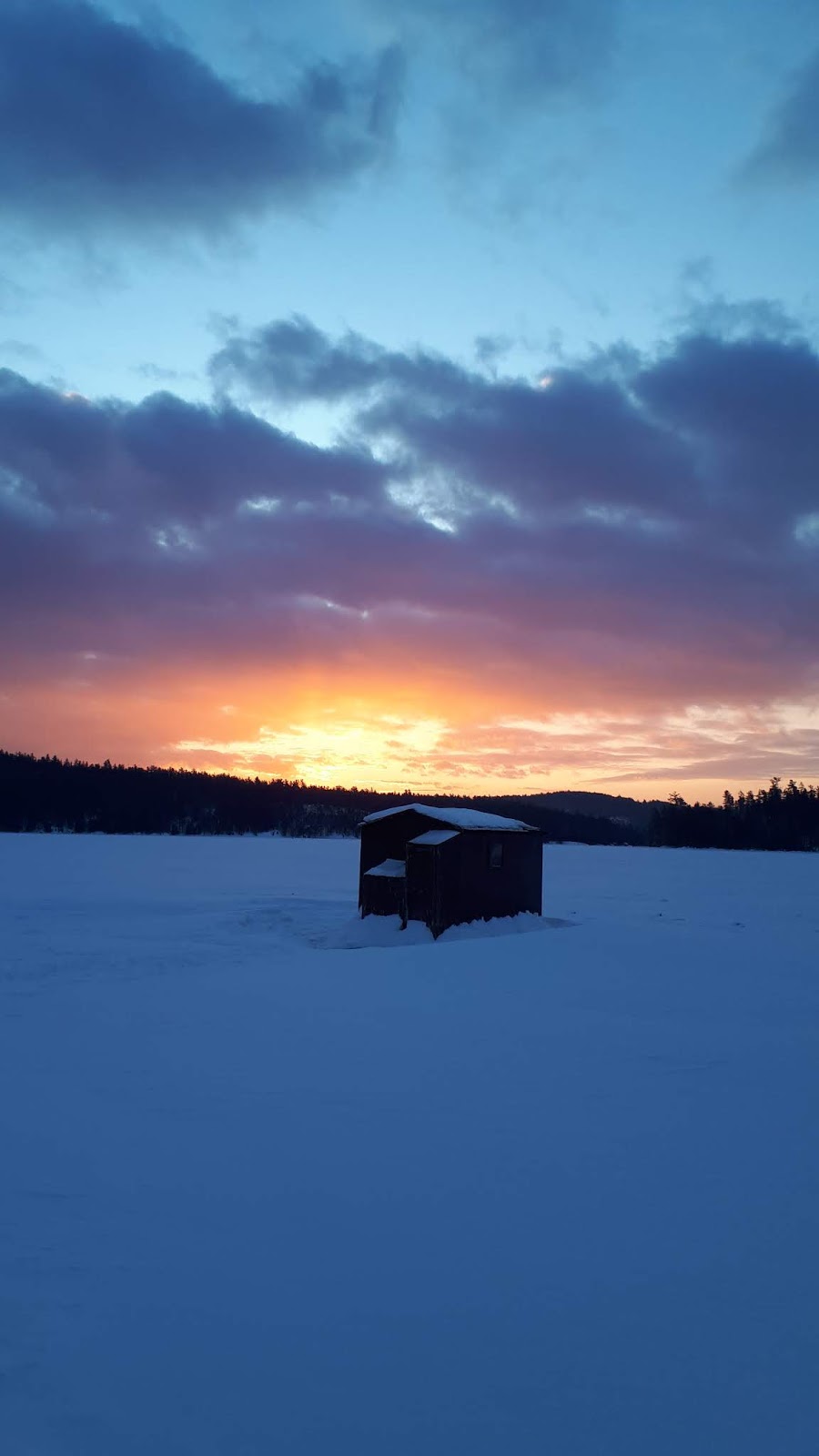 Loon Lodge Resort | 1724 Lake Temagami Access Road, Island 184, Temagami, ON P0H, Canada | Phone: (705) 237-8918