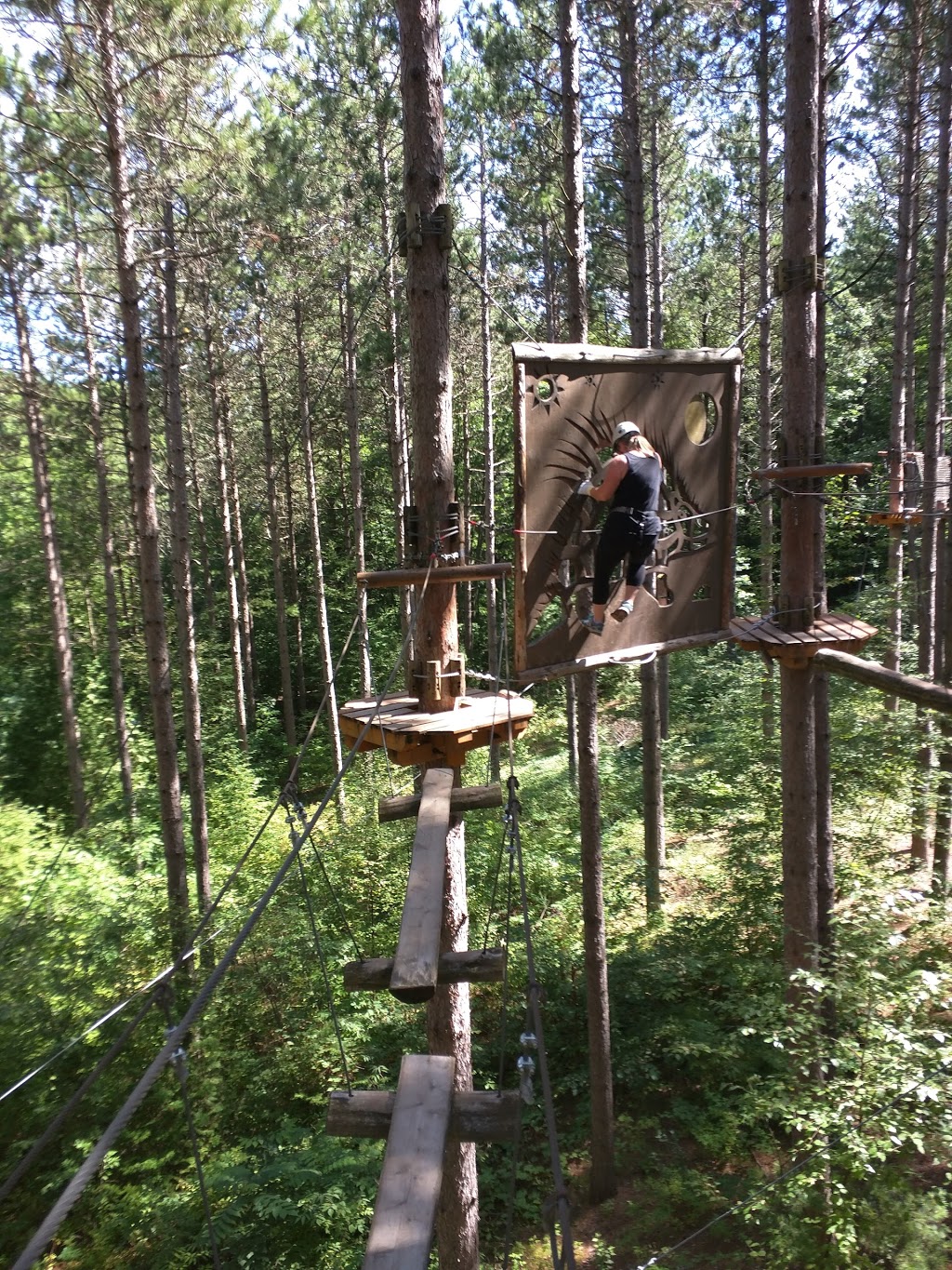 Treetop Trekking Ganaraska | 10585 Cold Springs Camp Rd, Campbellcroft, ON L0A 1B0, Canada | Phone: (905) 797-2000