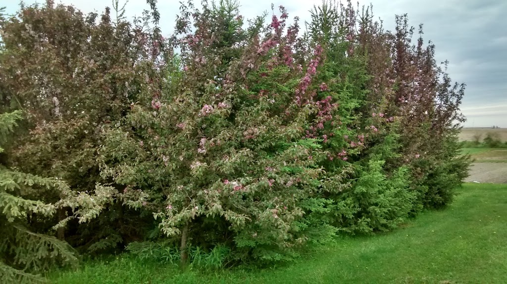 Awesome Berries & Gardens | 7505 Northville Rd, Thedford, ON N0M 2N0, Canada | Phone: (519) 828-3872