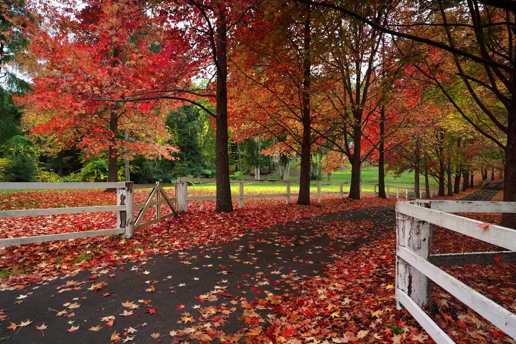 Waterfront Property Services | 2238 Elana Dr, Orillia, ON L3V 0C2, Canada | Phone: (705) 817-7773