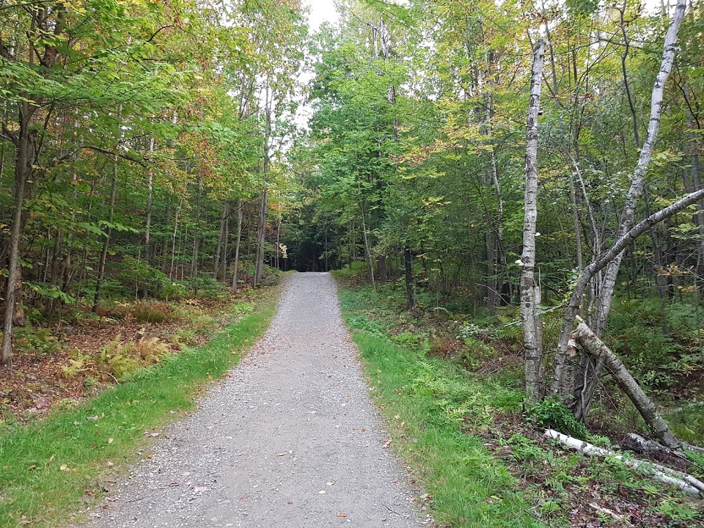 Parc du Mont-Bellevue - stationnement Dunant | 1875 Rue Dunant, Sherbrooke, QC J1H 6L5, Canada