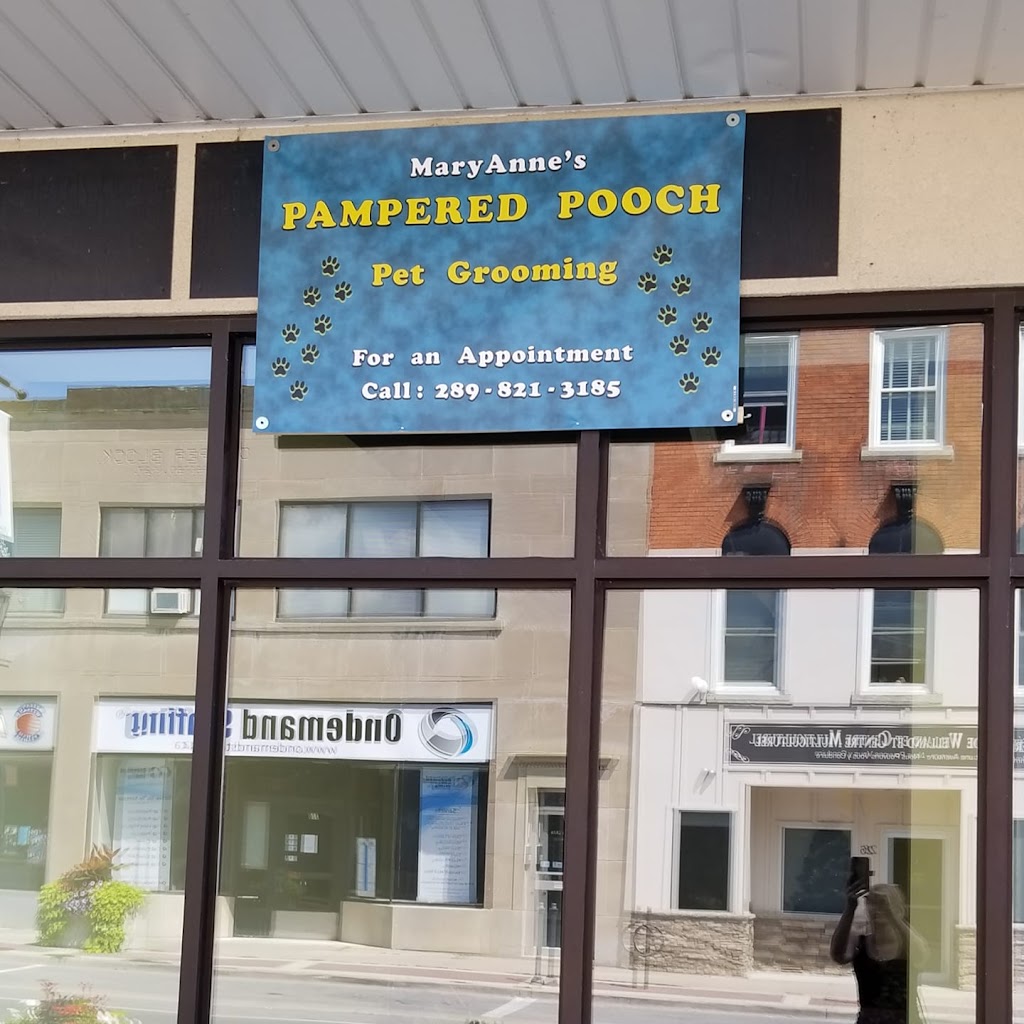 MaryAnnes Pampered Pooch | Graystone and clare area, Welland, ON L3C 6G7, Canada | Phone: (289) 821-3185
