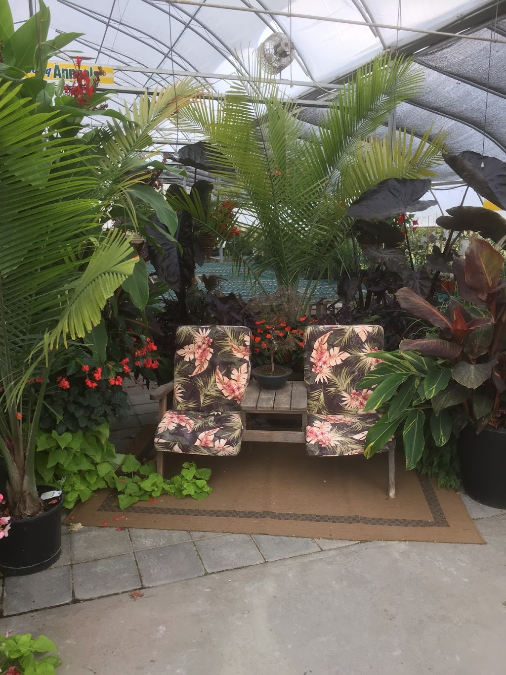 Green Oak Gardens | 43044 Provincial Trunk Hwy 44, Saint Ouens, MB R0E 0C0, Canada | Phone: (204) 268-4920